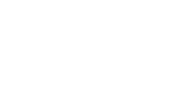 Zoo Web Designs Brisbane